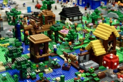 IMG_1509