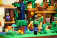IMG_1693